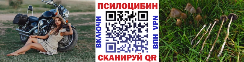 Галлюциногенные грибы мицелий где найти наркотики Кириллов
