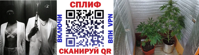 Бошки Шишки SATIVA & INDICA  Кириллов 